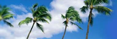 dominican republic real estate